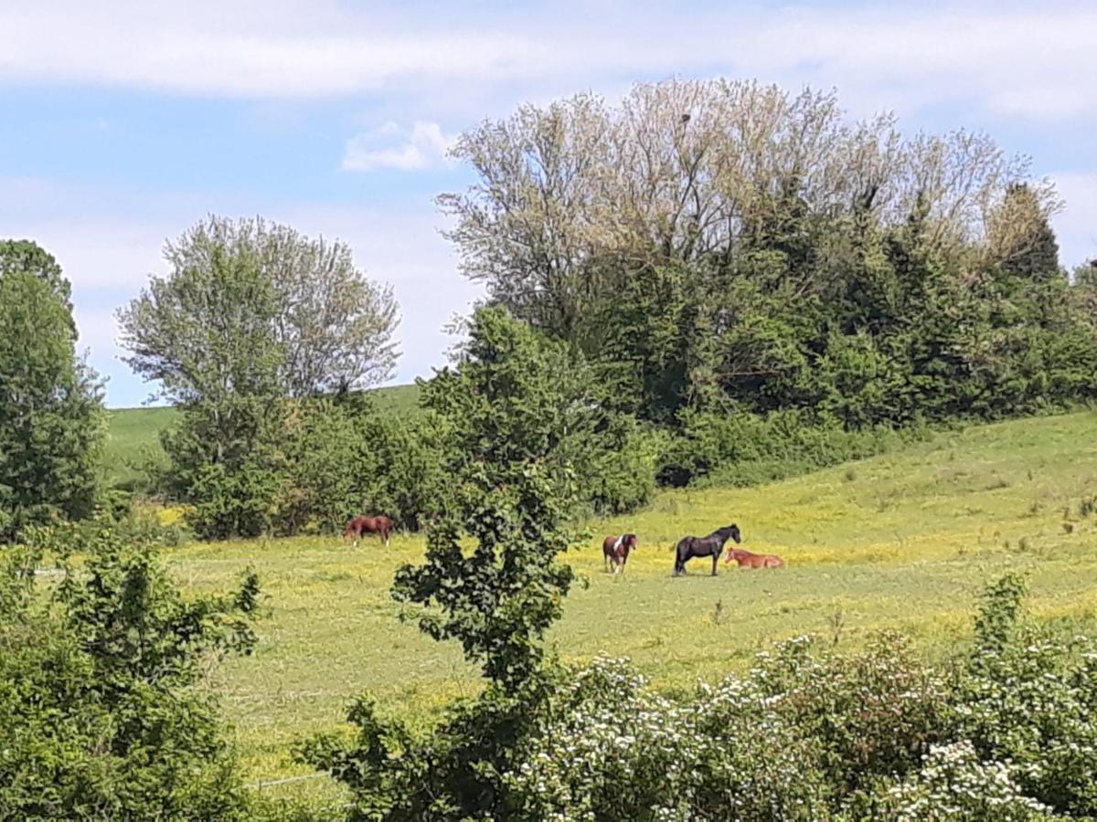 Apartamento Ai Boschi Ozzano dell'Emilia Exterior foto